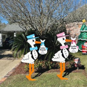 Twin Stork Signs in Pink and Blue with Personalized Bundles, Burleson, Fort Worth, Cedar Hill, Arlington, Lancaster